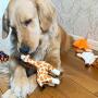 Jalousie 5 Pack Dog Squeaky Toys Three no Stuffing Toy and Two Plush with Stuffing for Small Medium Large Dog Pets New (Combo B)