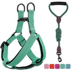 PAWABOO Dog Leash Harness Set, Durable Adjustable Heavy Duty No Pulling Dog Harness + Leash for Pet Dog Training Walking Running.