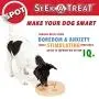 Ethical Pet Interactive Seek-A-Treat Flip N Flap Bone Dog Toy Puzzle that will improve your dogs IQ. Specially designed for dog training treats., Multicolor, 10 x 10 x 1.6 inches ; 1.65 pounds (5652)