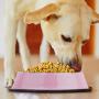 Weebo Pets Pink Stainless Steel No-Tip Food Bowls - Choose Your Size, 4-Ounce to 72-Ounce