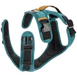 Gooby Pioneer Dog Harness with Control Handle & Seat Belt Restrain Capability, small, Blue