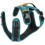 Gooby Pioneer Dog Harness with Control Handle & Seat Belt Restrain Capability, small, Blue