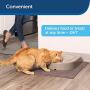 PetSafe 5 Meal Automatic Pet Feeder, Dog and Cat Dry Food Dispenser, with Digital Clock and Portion Control, 1 Cup Compartment Portions, 5 Cups Total Capacity