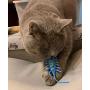 Yoyipet Moto Mouse Interactive Cat Toys for Indoor Cats, Playing Chasing Chewing cat mice Toys with Patented Design.