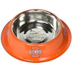 Pet Goods NCAA Illinois Illini Stainless Steel Bowl