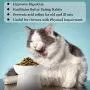 SunGrow Ceramic Cat Bowl with Stand, Suitable Eating Height for Pets, Raised Food Bowl, Mealtime for Your Cats, Stoneware Feeding Station SunGrow Ceramic Cat Bowl with Stand, Suitable Eating Height for Pets, Raised Food Bowl, Mealtime for Your Cats, Stoneware Feeding Station