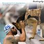 Hanshengday Tactical Dog Vest-Training Molle Harness-Tactical Dog Backpack-Pet Tactical -Vest Detachable Pouches-Relective Patches¡­