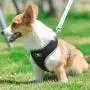 Grneric Small Dog Harness,Djustable Pet Reflective Vest and Leash Lead Set,No Pull Soft Mesh Breathable Fit Puppy and Cat Easy Control Universal Harness Grneric Small Dog Harness,Djustable Pet Reflective Vest and Leash Lead Set,No Pull Soft Mesh Breathable Fit Puppy and Cat Easy Control Universal Harness