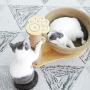 Sisal Cat Tower, Scratching Post, Kitten Tree, Pet Indoor Activity Center, with Bowl Shape Sleep Basket and Hanging Ball, Used for Grinding Claws of Kittens