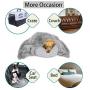 Pacapet Fluffy Dog Blanket, Soft Reversible Sherpa Throw Blanket for Pets, Puppy, Warm Shaggy Cat Fleece Blanket for Couch/Bed/Sofa Protection, Washable & Lightweight