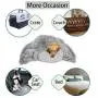 Pacapet Fluffy Dog Blanket, Soft Reversible Sherpa Throw Blanket for Pets, Puppy, Warm Shaggy Cat Fleece Blanket for Couch/Bed/Sofa Protection, Washable & Lightweight