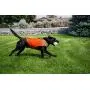 CUGA Vest Serious Protection for The Active Dog (MED, Orange/Coyote)