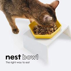 Nest Bowl Ceramic Cat Food Bowl I Raised Cat Food Bowl I Elevated Cat Bowl I Tilted Cat Bowl I Cat Bowl No Spill I Stress Free Bowl