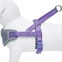 Blueberry Pet 8 Colors Soft & Comfortable 3M Reflective Strips Nylon Neoprene Padded Training Dog Harness