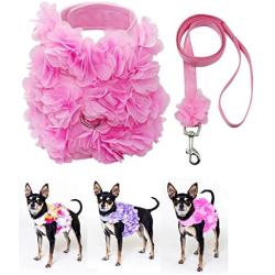 Dashin Dogz Pink Dog Harness and Leash Set for XSmall & Small Breeds Like Chihuahua, Teacups, Yorkys Puppy Harness