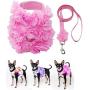 Dashin Dogz Pink Dog Harness and Leash Set for XSmall & Small Breeds Like Chihuahua, Teacups, Yorkys Puppy Harness