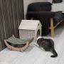 MadeTerra Wooden Kitty House Cat Shelter Fully Assembled Plywood Hide House for Cats, Rabbits and Small Dogs