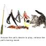 Attractive Kitten Play Toy, Non-Toxic Interactive Toy, Pet Wand Toy, Teaser Toy, Soft Durable for Home Cat Retractable