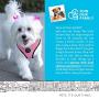 Paws & Pals Pet Control Harness for Dog & Cat Easy Soft Walking Collar