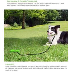 WeiFaJK Dog Tie Out Cable and Stake with Durable,for Yard and Camping,Outdoor Dog Chew Toy for Small Medium and Large Pet Dogs (Green) 4 Pcs