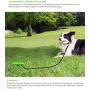 WeiFaJK Dog Tie Out Cable and Stake with Durable,for Yard and Camping,Outdoor Dog Chew Toy for Small Medium and Large Pet Dogs (Green) 4 Pcs