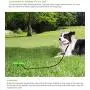 WeiFaJK Dog Tie Out Cable and Stake with Durable,for Yard and Camping,Outdoor Dog Chew Toy for Small Medium and Large Pet Dogs (Green) 4 Pcs WeiFaJK Dog Tie Out Cable and Stake with Durable,for Yard and Camping,Outdoor Dog Chew Toy for Small Medium and Large Pet Dogs (Green) 4 Pcs