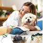 PETRIP Dog Dryer, Upgraded Dog Hair Dryer Blower, Stronger 3-in-1 Pet Hair Dryer with 2 Pet Grooming Gloves - Professional Home Pet Dryer with Slicker Brush for Medium Small Dogs Cats