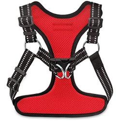 Voyager Step-In Flex Dog Harness - All Weather Mesh, Step In Adjustable Harness for Small and Medium Dogs by Best Pet Supplies