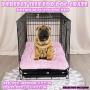 Poohoo 2 Pack Step-in Double Layers Mesh Dog Vest Harness Adjustable for Small Medium Dogs (L(Chest:19.2''-21.7''), Pink and Blue),Poohom Soft Plush Dog Bed,Dog Crate Bed Pet Cushion Pet Pillow Bed Wash