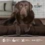 Pet Craft Supply Super Snoozer Calming Indoor / Outdoor All Season Water Resistant Durable Dog Bed