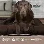Pet Craft Supply Super Snoozer Calming Indoor / Outdoor All Season Water Resistant Durable Dog Bed Pet Craft Supply Super Snoozer Calming Indoor / Outdoor All Season Water Resistant Durable Dog Bed