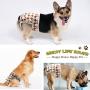 Cos2be Female Dogs Diapers Washable Reusable Wraps,Soft & Comfortable Diapers for Small to Middle Dog-Pack of 3(XS)