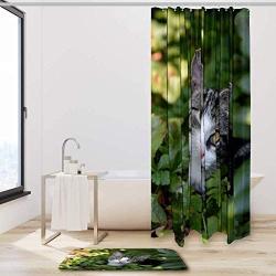 NOAON Waterproof Fabric Shower Curtain Set with Hooks and Mats Bathroom Bath Decor - Cat Mieze Pet Domestic Cat Animal Young Cat