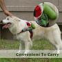Generies Eco Dog Poop Bags, Pet Doggie Bags for Poop, Biodegradable Unscented Dog Waste Bags, Extra Thick, Recyclable, Eco-Friendly, Leak-Proof, Include Dispenser