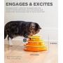 Petstages Cat Tracks Cat Toy - Fun Levels of Interactive Play - Circle Track with Moving Balls Satisfies Kitty’s Hunting, Chasing and Exercising Needs