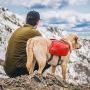 Kurgo Baxter Backpack for Dogs, Saddlebag Back Pack Harness, Hiking Pack for Dogs, Packs for Pets to Wear, Camping & Travel Vest Harness, Reflective, Lightweight, For Pets 30-110 lbs