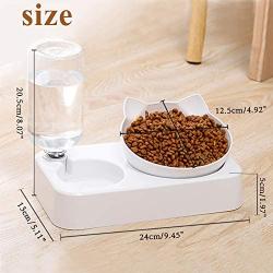 Hawiton Cat Bowl Elevated - Cat Food Bowl/Water Bowl, Pet Food Bowl Slow Cat Feeder Bowl with Stand Anti Ant Small Spill Proof Feeding Wide Bowls 15°Tilted Pet Bowl for Dogs Cats Puppy