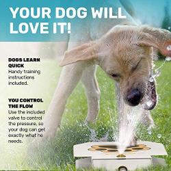 Dog Fountain Water Fountain Dog Sprinkler Step On Dog Sprinkler Toy for Big and Small Dogs For Drinking and Pets Playing And Happiness