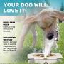 Dog Fountain Water Fountain Dog Sprinkler Step On Dog Sprinkler Toy for Big and Small Dogs For Drinking and Pets Playing And Happiness