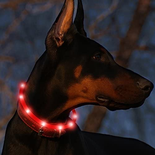 BSEEN Led Dog Collar USB Rechargeable Glowing Pet Safety Collars Water Resistant Light up Cut to resize to fit 11''-27'' for Small, Medium, Large Dogs