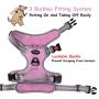 Coohom No Pull Dog Harness with Handle and Two Leash Attachments,Adjustable Outdoor Pet Harness with Reflective Oxford Material for Small Medium Large Dogs