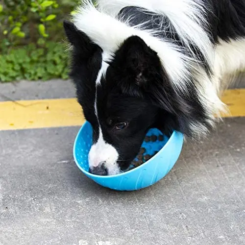 Alyster Slow Feeder Dog and Cat Bowl Preventing Choking Anxiety Relief Healthy Design Bowl for Dog Pet Alyster Slow Feeder Dog and Cat Bowl Preventing Choking Anxiety Relief Healthy Design Bowl for Dog Pet