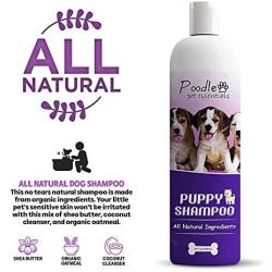 Poodlie All-Natural Gentle Puppy Shampoo - Extra-Sensitive Dog Shampoo for Small Dogs – Fresh Baby Scent - 16 oz.