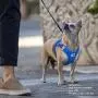 Curli Vest Harness Air-Mesh Dog Harness Pet Vest No-Pull Step-in Harness with Padded Vest