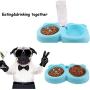 Creation Core Pet Slow Feeder Bowl with Automatic Water Dispenser and Stainless Steel Bowl for Small Medium Dogs Cats, Blue
