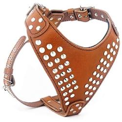 Bestia ''Star Studded Leather Dog Harness