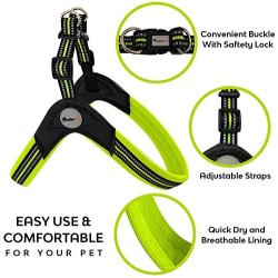 GEILHOPET Dog Harness and Leash Set