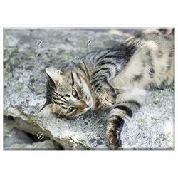 Triple Blank Wall Plate Cover - Cat Cats Animals Pet Cat Looking Fluffy Cat