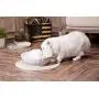 THMY Pet Water Fountain 2.1L Ceramic Drinking Fountain Automatic Electric Pet Water Fountain Dog Cat Drinking Ceramic Bowl (White)