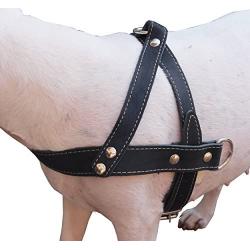 Genuine Black Leather Dog Pulling Walking Harness Medium to Large. 25.5''-31'' Chest, 1.5'' Straps